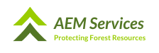 AEM Services